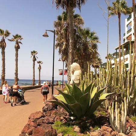 In Perfect Location Playa de las Americas (Tenerife)